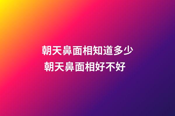 朝天鼻面相知道多少 朝天鼻面相好不好
